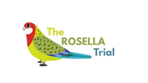ROSELLA