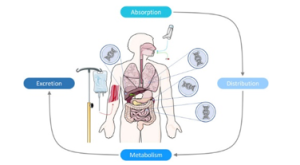 PGx-ADAPT : Pharmacogenetics-guided Antidepressant Decision-making and Personalised Treatment